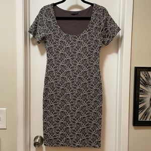 Velvet by Graham & Spencer Lace Fitted Dress